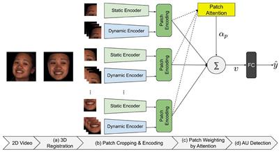 D-PAttNet: Dynamic Patch-Attentive Deep Network for Action Unit Detection